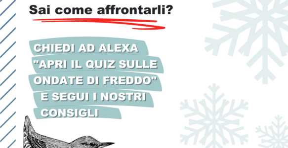 Alexa supporta la campagna “Cresce il freddo, cresce la prevenzione” ideata da Croce Rossa Italiana